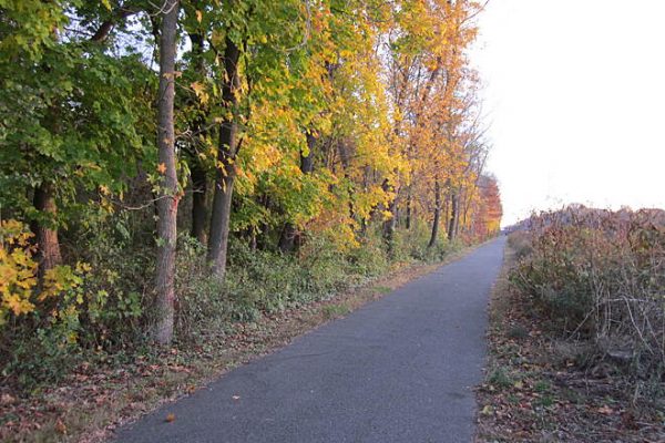 Fall Refresh on the Henry Hudson Trail: Here’s What’s Happening This Week henryhudsontrail